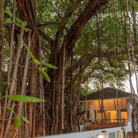 White Banyan Beach Villa, Candolim By The Acacia Villas Dış mekan fotoğraf