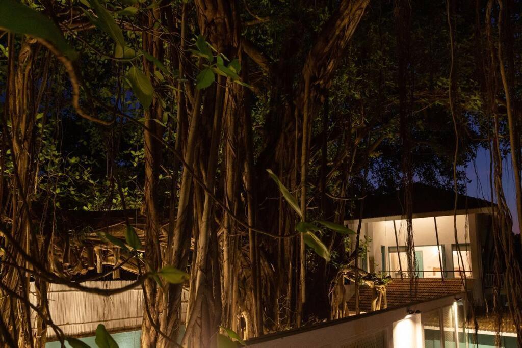 White Banyan Beach Villa, Candolim By The Acacia Villas Dış mekan fotoğraf