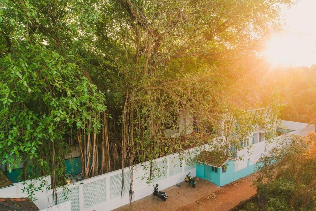White Banyan Beach Villa, Candolim By The Acacia Villas Dış mekan fotoğraf